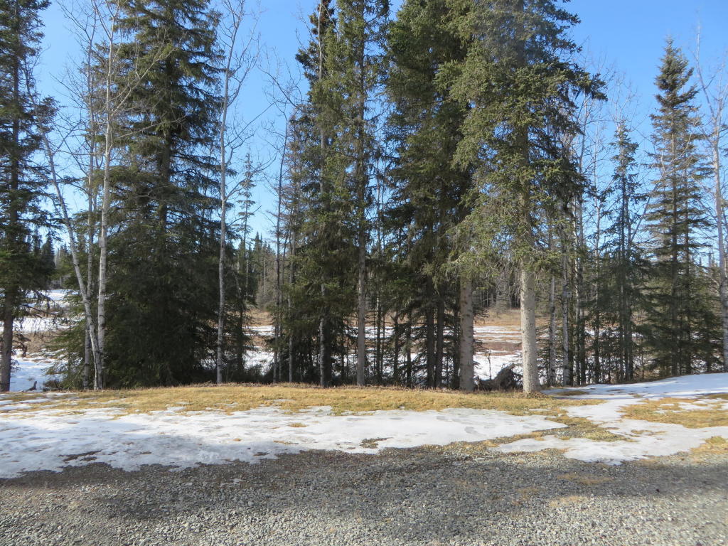 47964Foxwood Ct, Soldotna, United States 99669