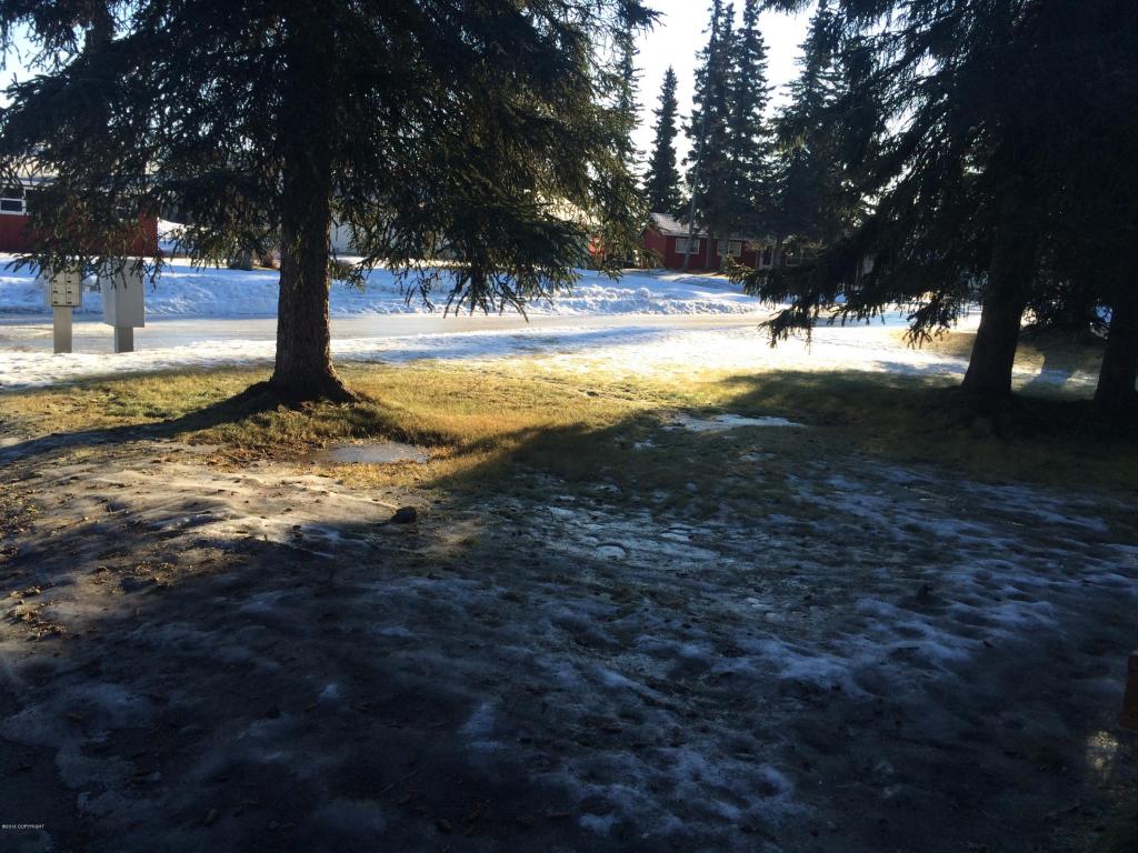 297Lorraine Ct, Soldotna, United States 99669