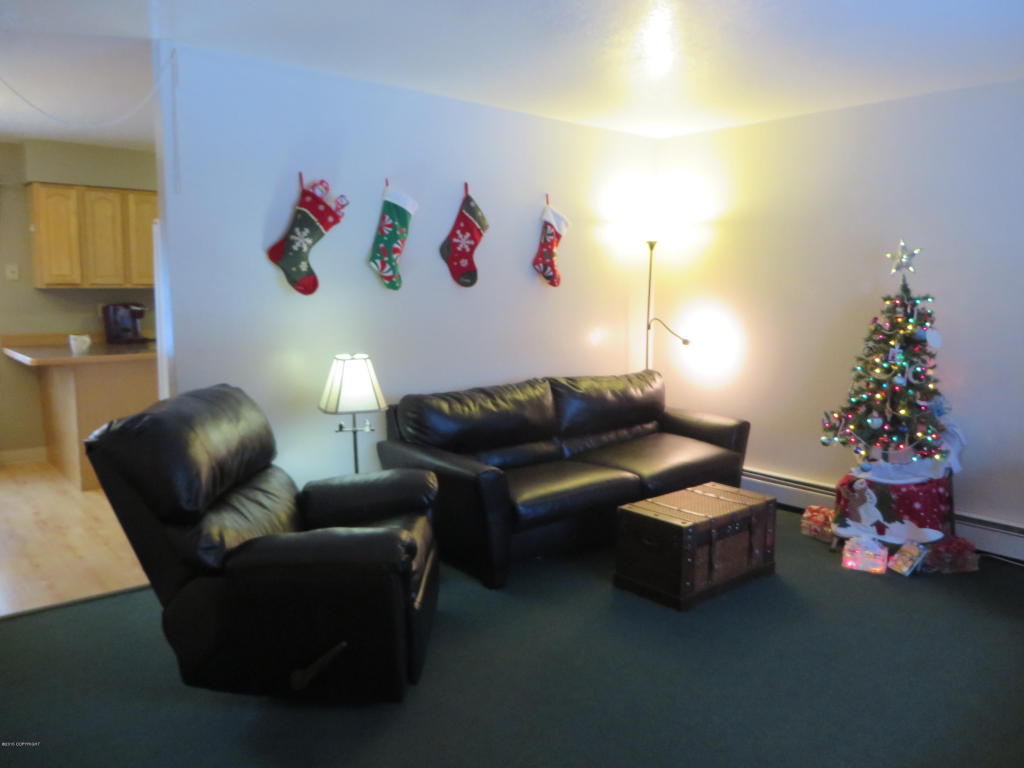 311 W Bering Ave, Soldotna, United States 99669