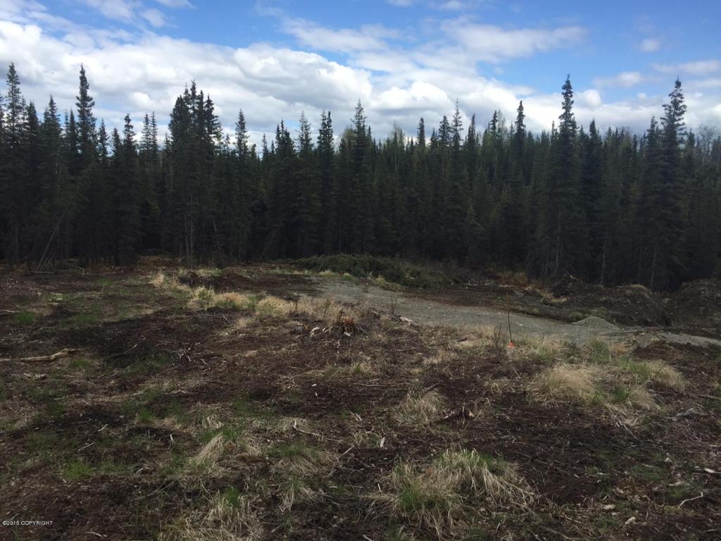 L14Dutch Landing Loop, Sterling, United States 99672