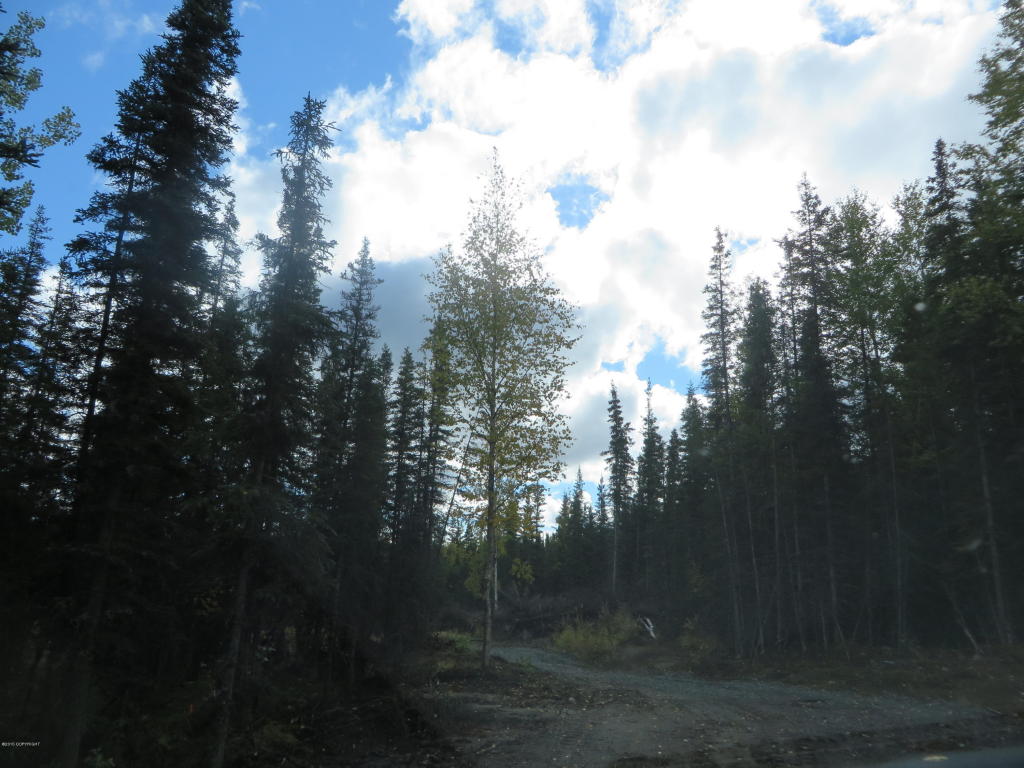 L14Dutch Landing Loop, Sterling, United States 99672