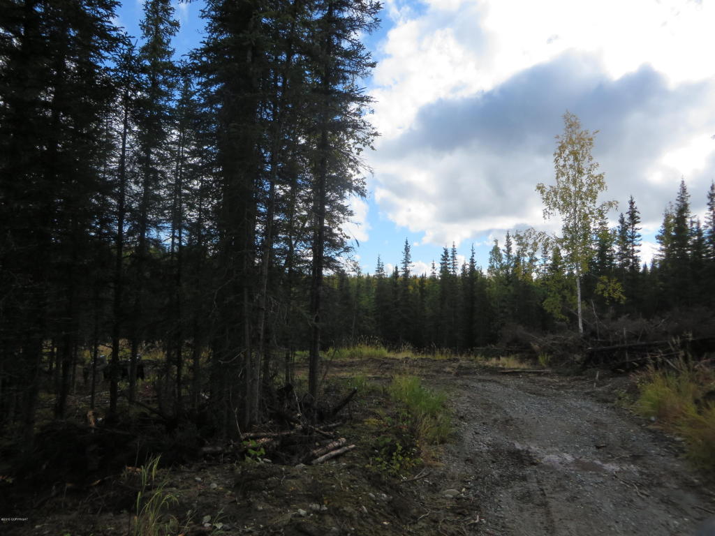 L14Dutch Landing Loop, Sterling, United States 99672