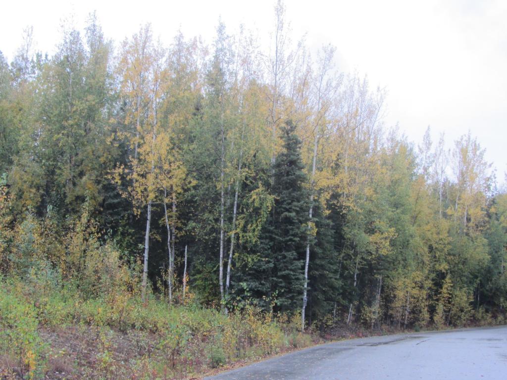38063Lakewood Rd, Sterling, United States 99672