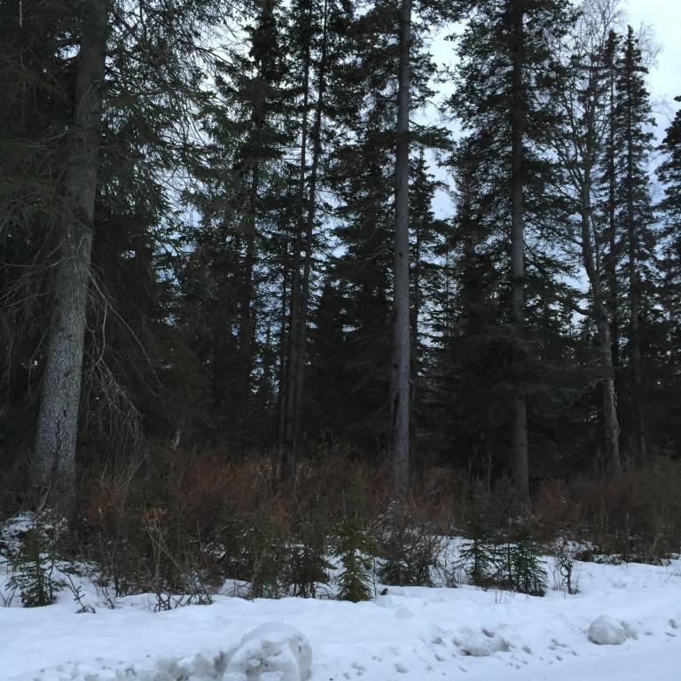 L6 B8Stassi Ln, Sterling, United States 99672