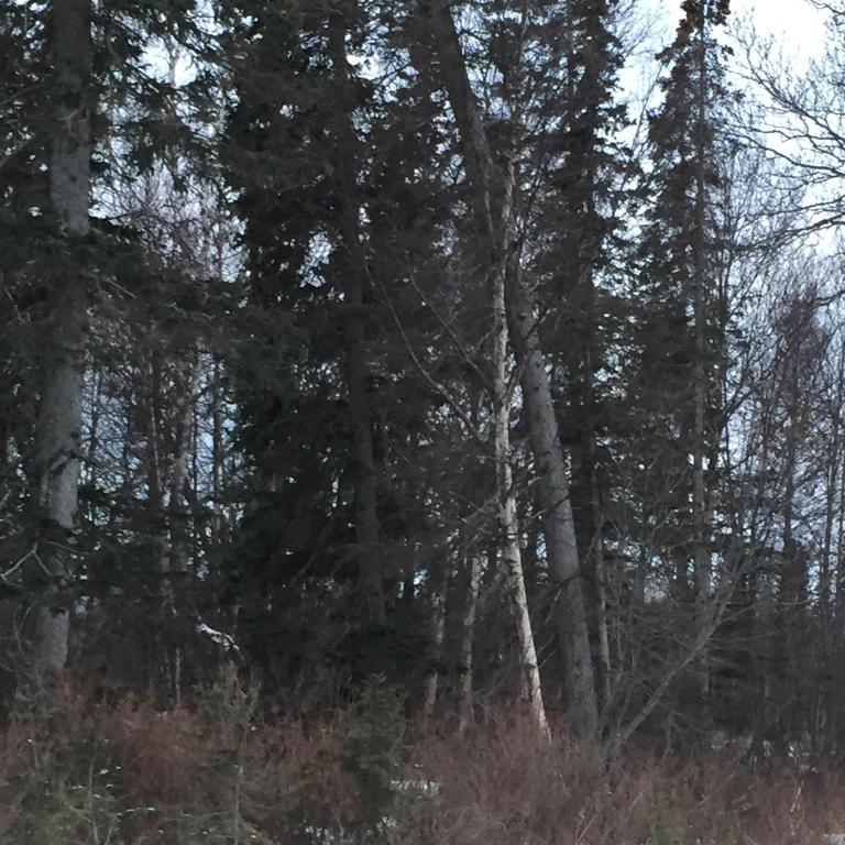 L6 B8Stassi Ln, Sterling, United States 99672