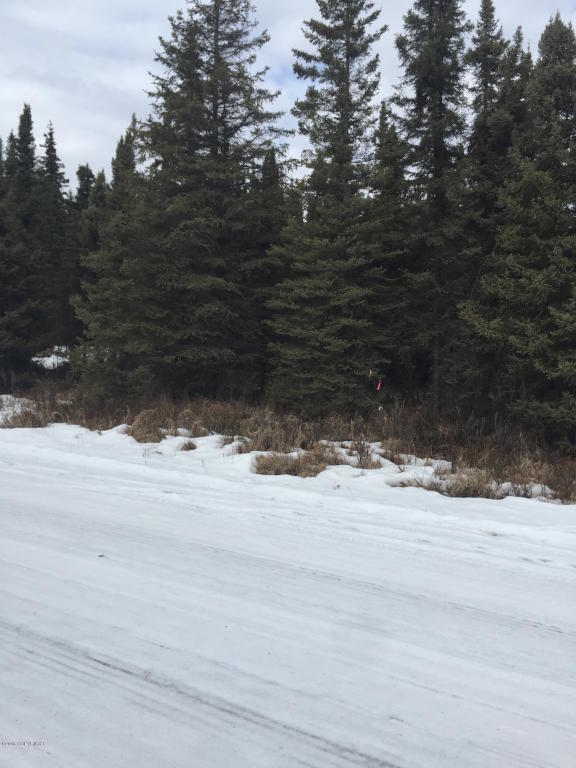 L18 B3 Fallhaven Lane, Sterling, AK 99672