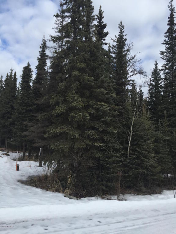 L12 B5 Stassi Lane, Sterling, AK 99672