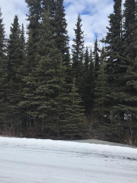 L12 B5 Stassi Lane, Sterling, AK 99672