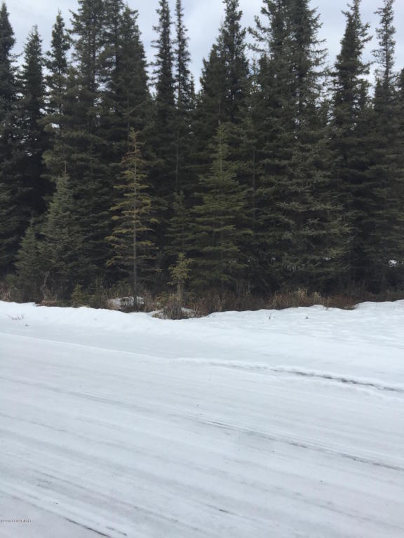 L17 B3 Fallhaven Lane, Sterling, AK 99672