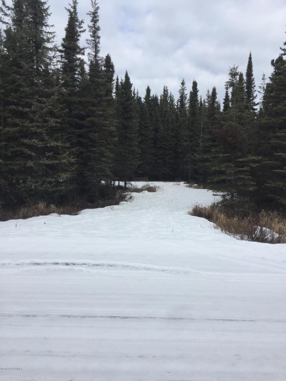 L17 B3 Fallhaven Lane, Sterling, AK 99672