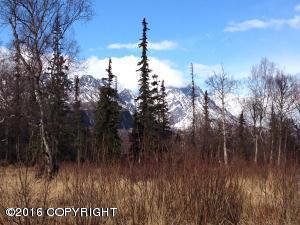 18743 E Jessica Ann Street, Sutton, AK 99674
