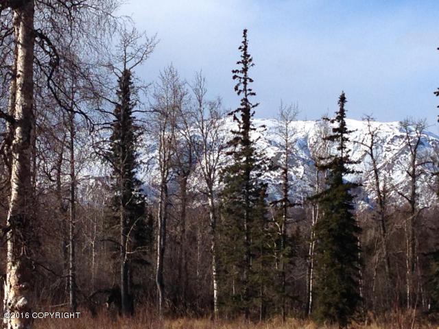 18743 E Jessica Ann Street, Sutton, AK 99674