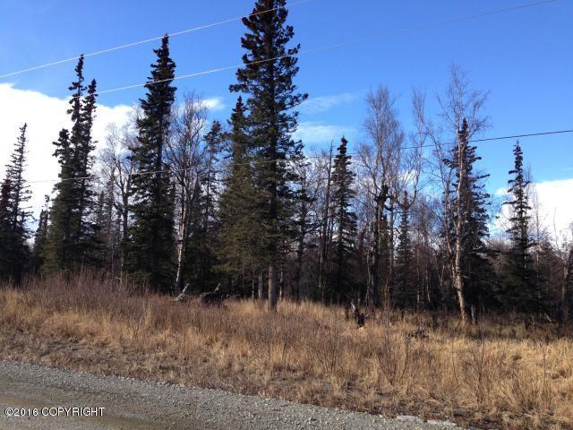 18743 E Jessica Ann Street, Sutton, AK 99674
