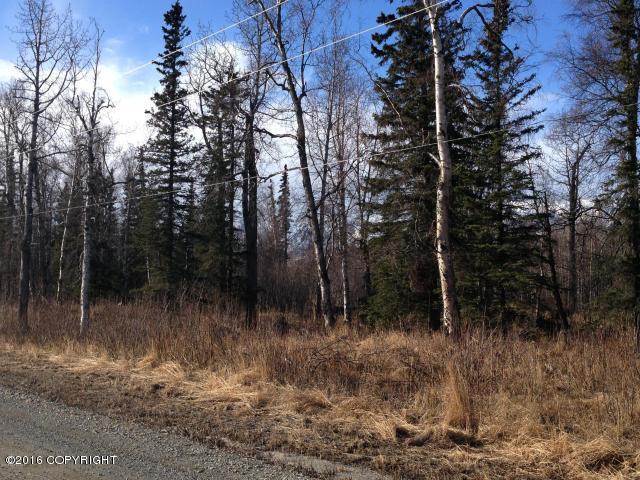 18743 E Jessica Ann Street, Sutton, AK 99674