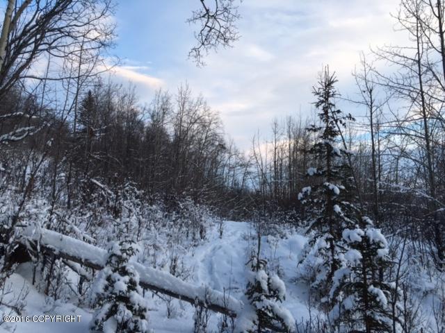 29903 W Glenn Highway, Chickaloon, AK 99674