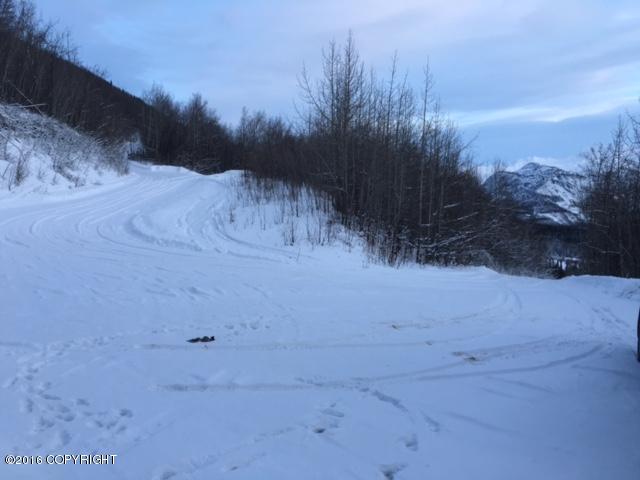 29903 W Glenn Highway, Chickaloon, AK 99674
