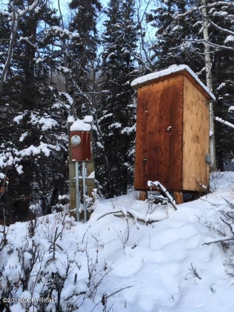 29903 W Glenn Highway, Chickaloon, AK 99674