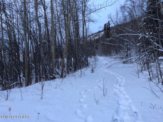 29903 W Glenn Highway, Chickaloon, AK 99674