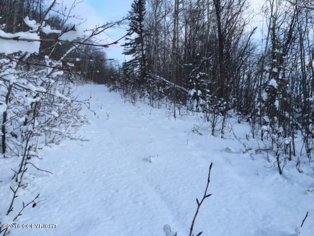 29903 W Glenn Highway, Chickaloon, AK 99674