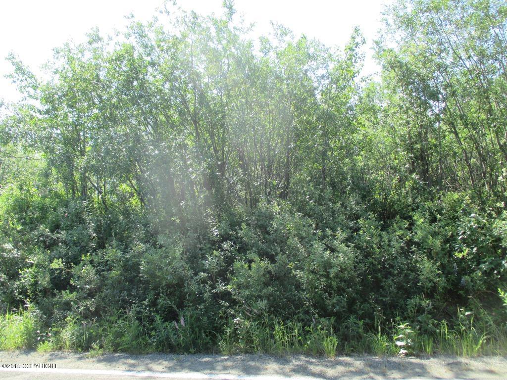 35865 W Pinochle Lane, Chickaloon, AK 99674