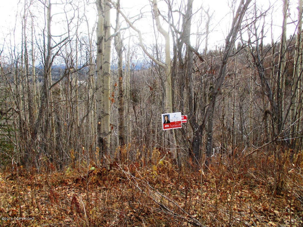 35865 W Pinochle Lane, Chickaloon, AK 99674