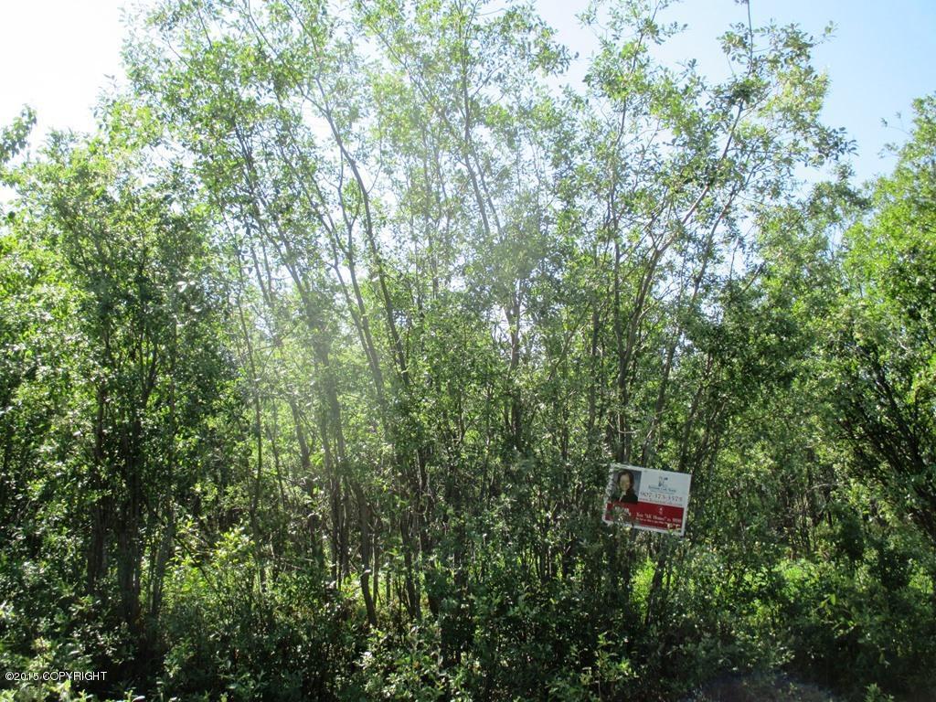 35865 W Pinochle Lane, Chickaloon, AK 99674