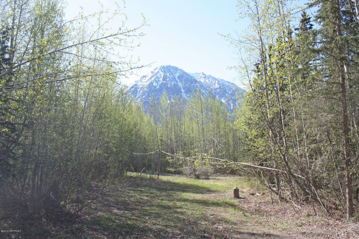 18235 E Chickaloon Road, Chickaloon, AK 99674