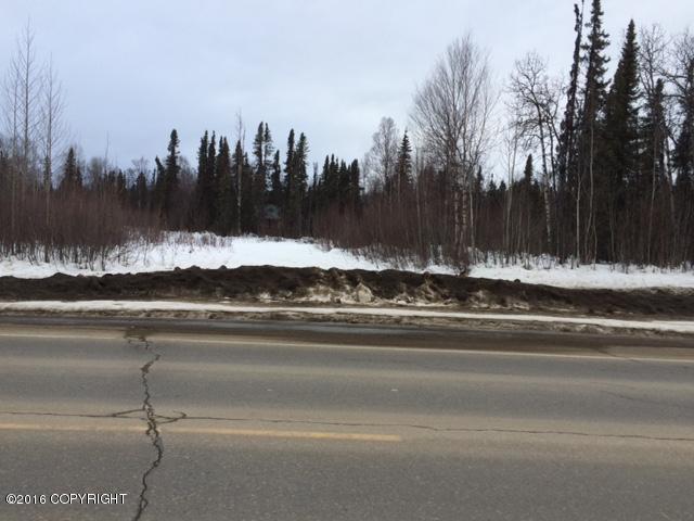 43474 S Parks Highway, Talkeetna, AK 99676