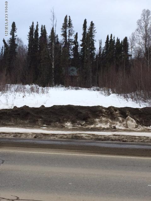43406 S Parks Highway, Talkeetna, AK 99676