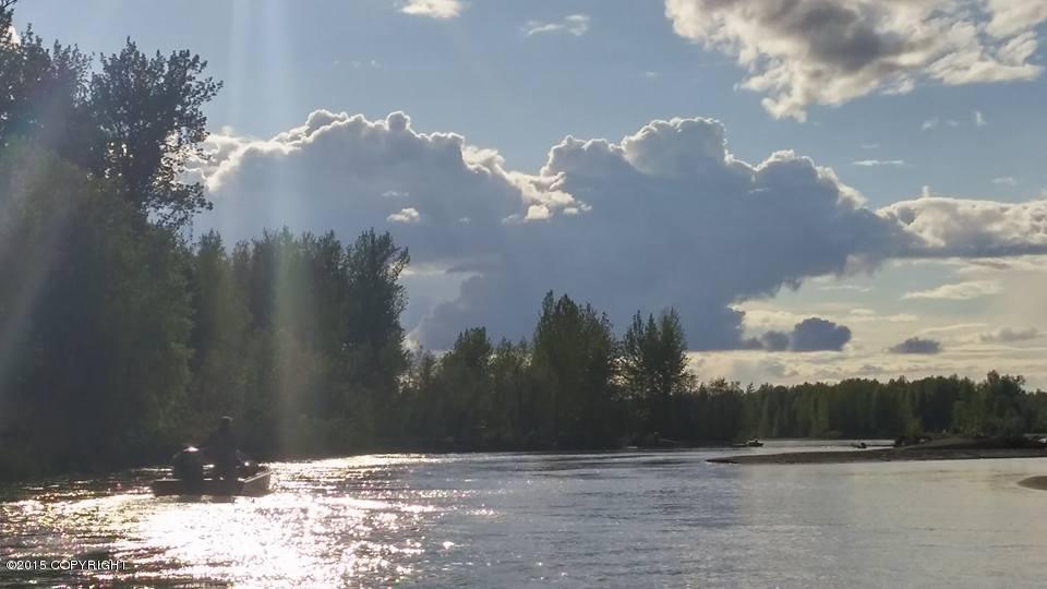 Tr D N No Road, Talkeetna, AK 99676