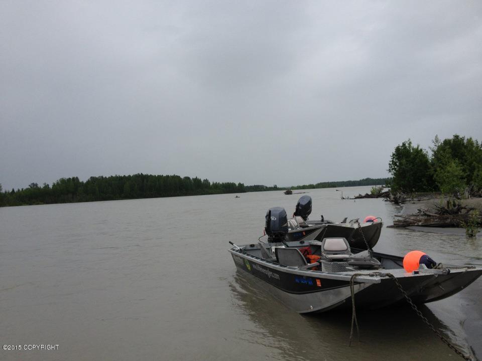 Tr D N No Road, Talkeetna, AK 99676