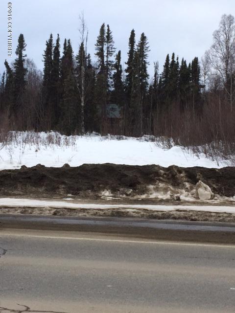 43636 S Parks Highway, Talkeetna, AK 99676