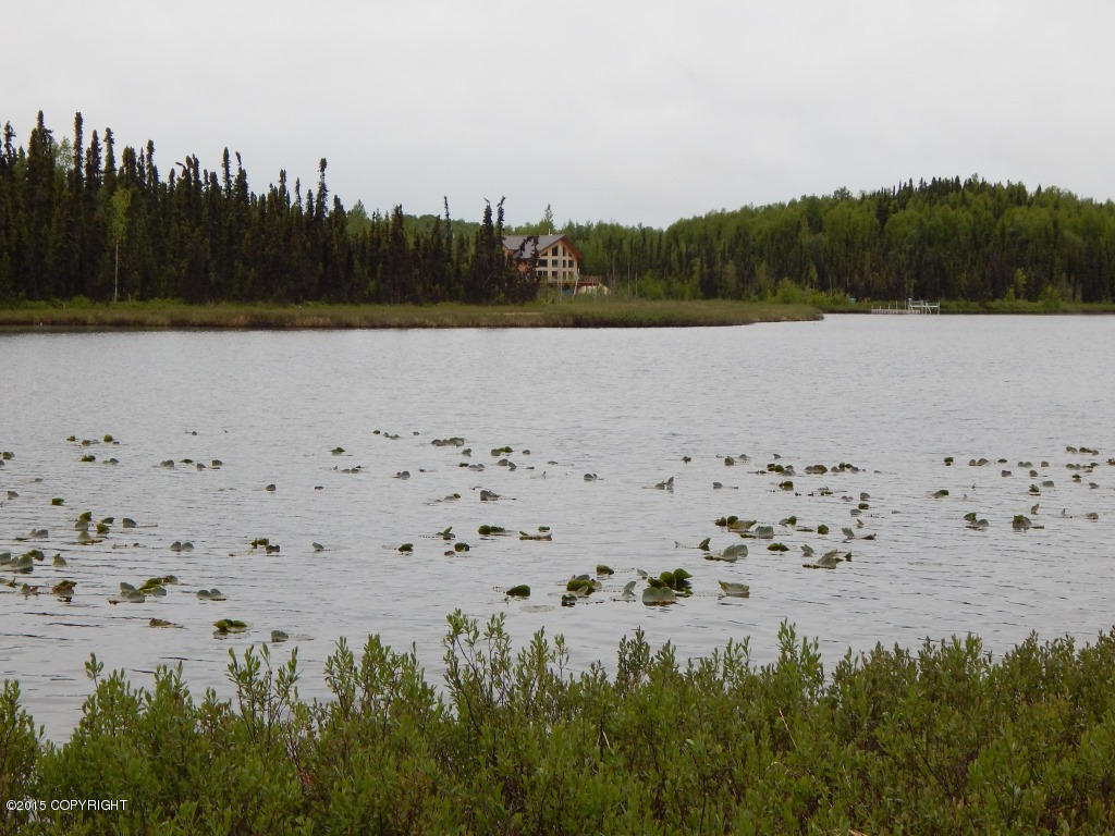9368 N Kime Lane, Willow, AK 99688