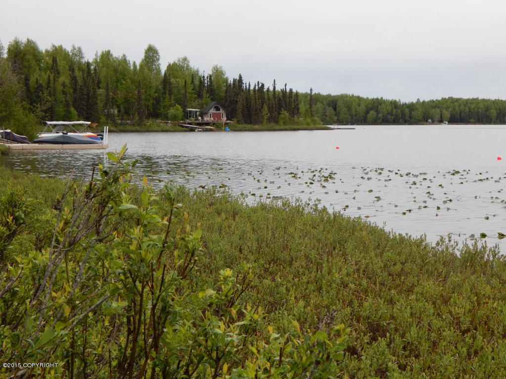 9368 N Kime Lane, Willow, AK 99688