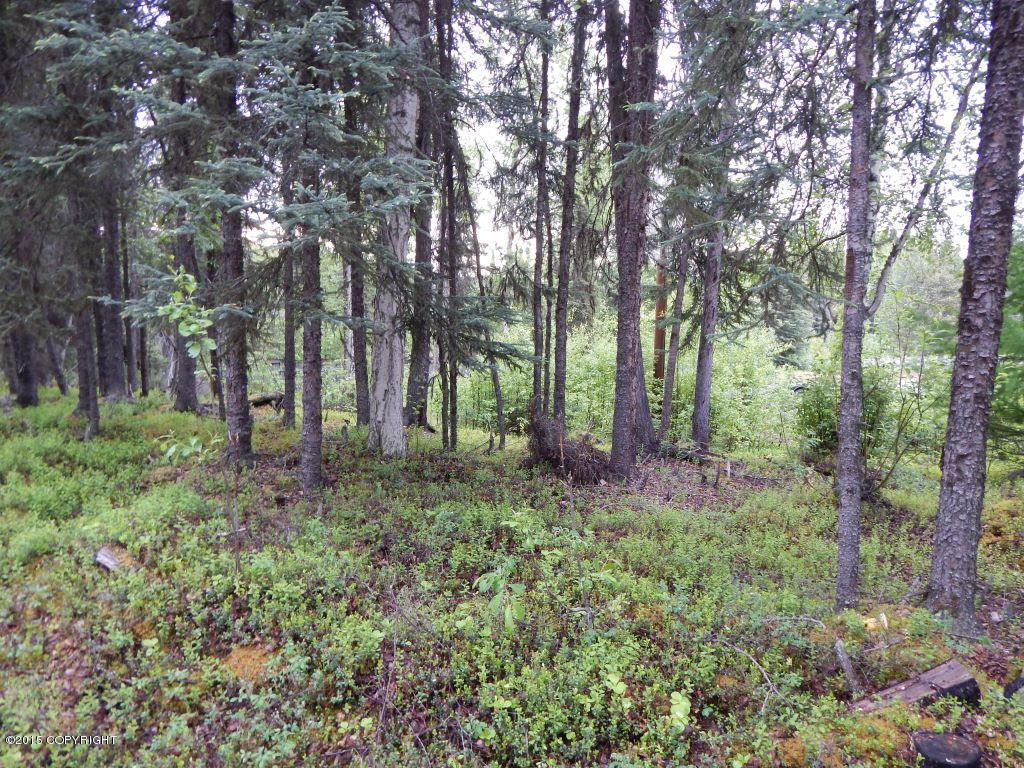 9368 N Kime Lane, Willow, AK 99688