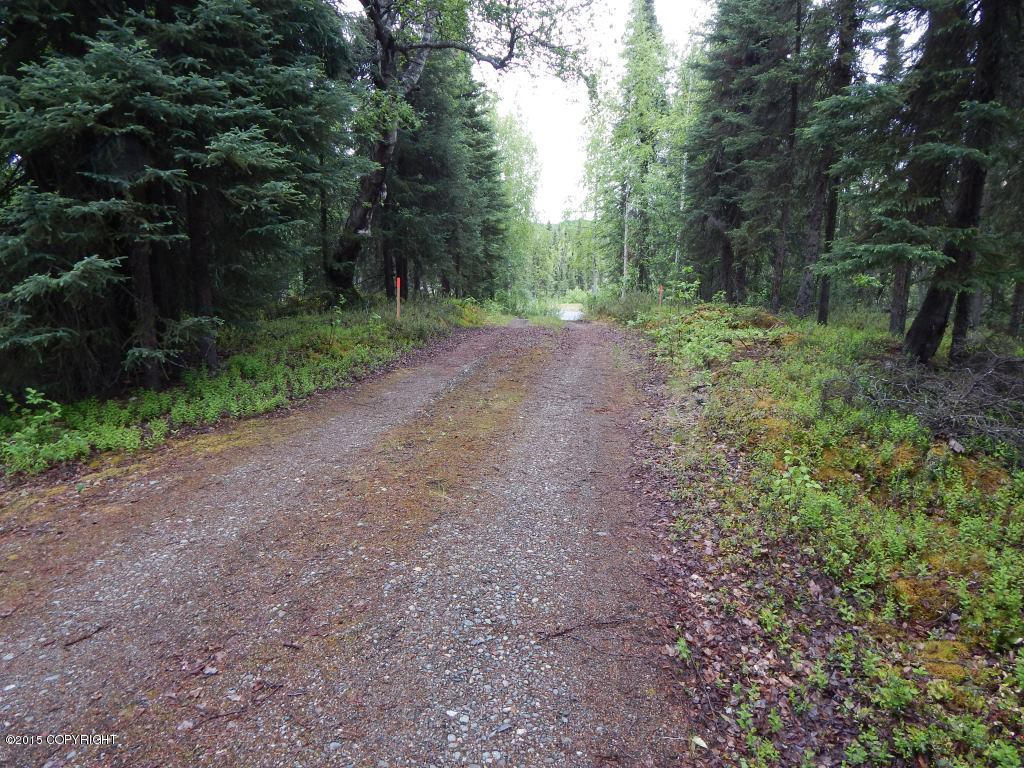 9368 N Kime Lane, Willow, AK 99688