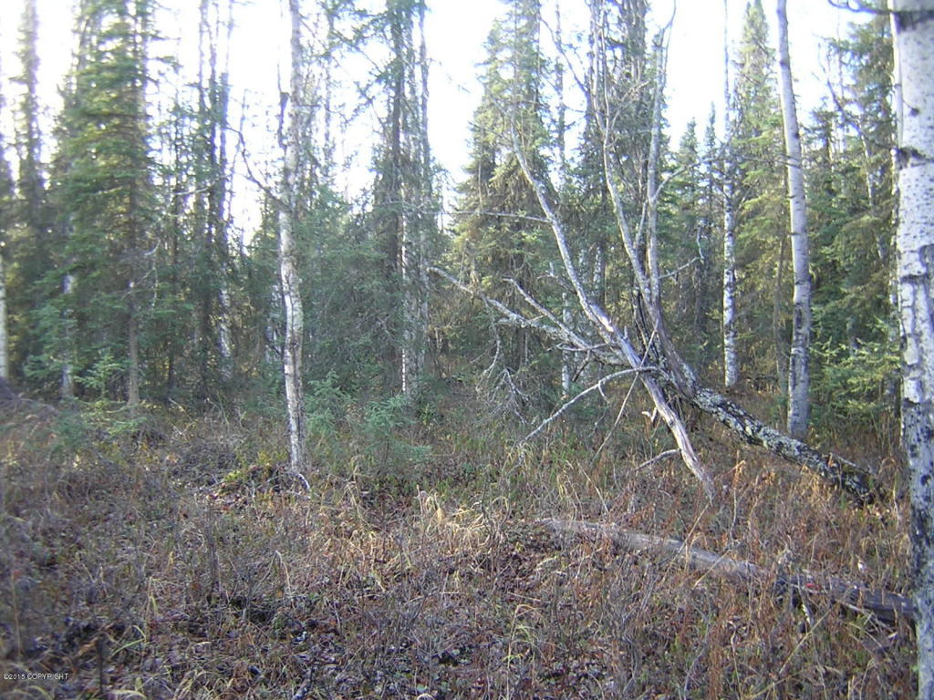 B005 No Road, Willow, AK 99688