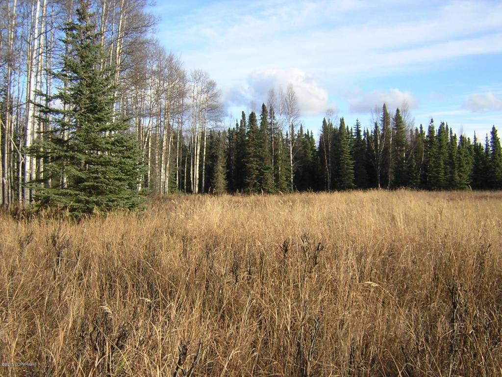B005 No Road, Willow, AK 99688