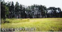 B005 No Road, Willow, AK 99688