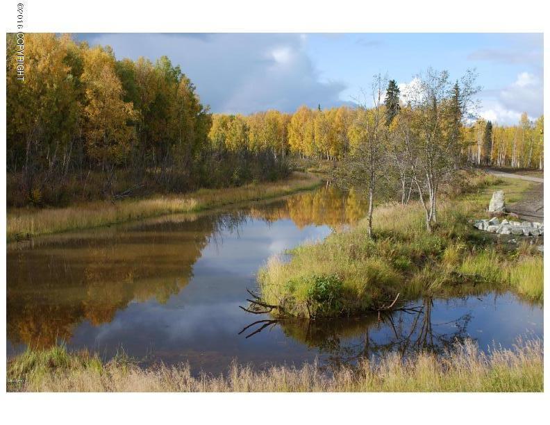 49168 S Hunter Drive, Willow, AK 99688