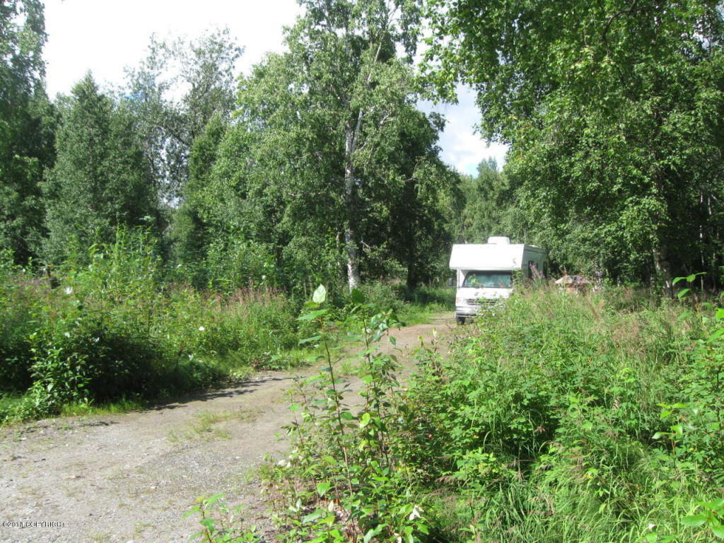 47500 S Prairie Drive, Willow, AK 99688