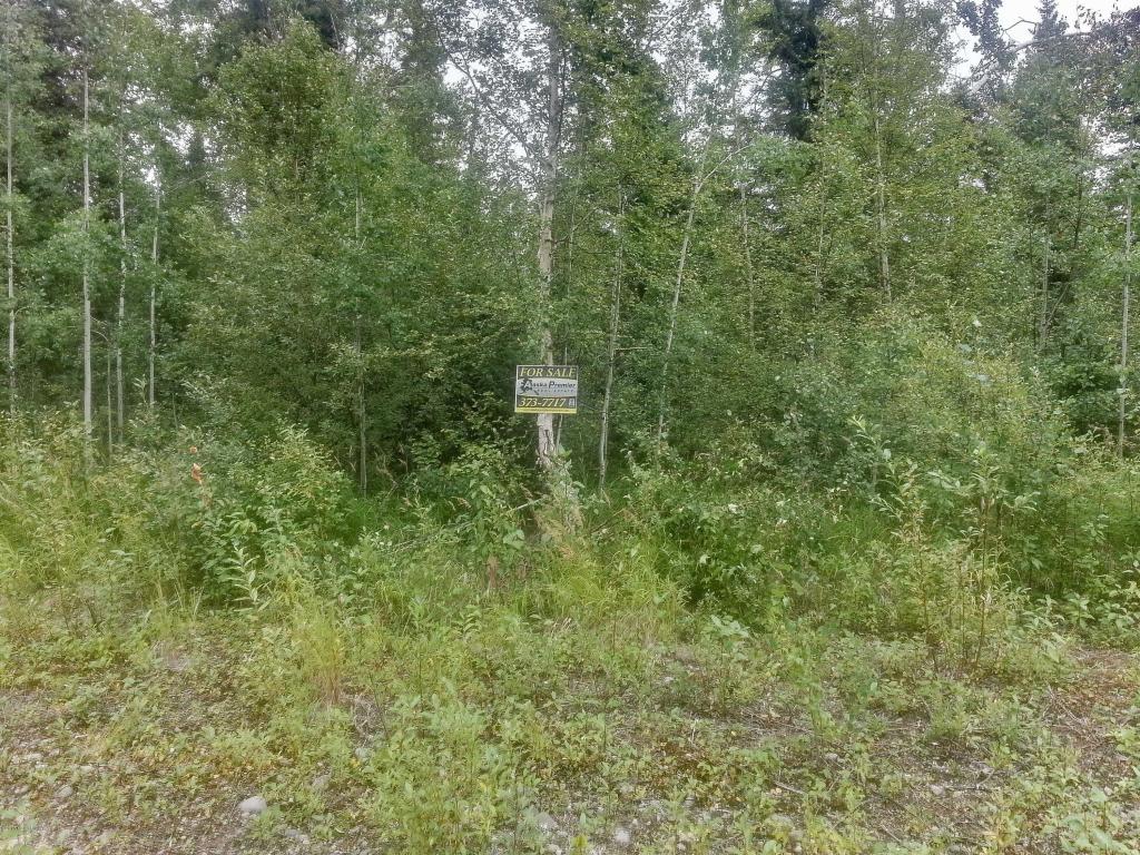47345 S Hawk Lane, Willow, AK 99688
