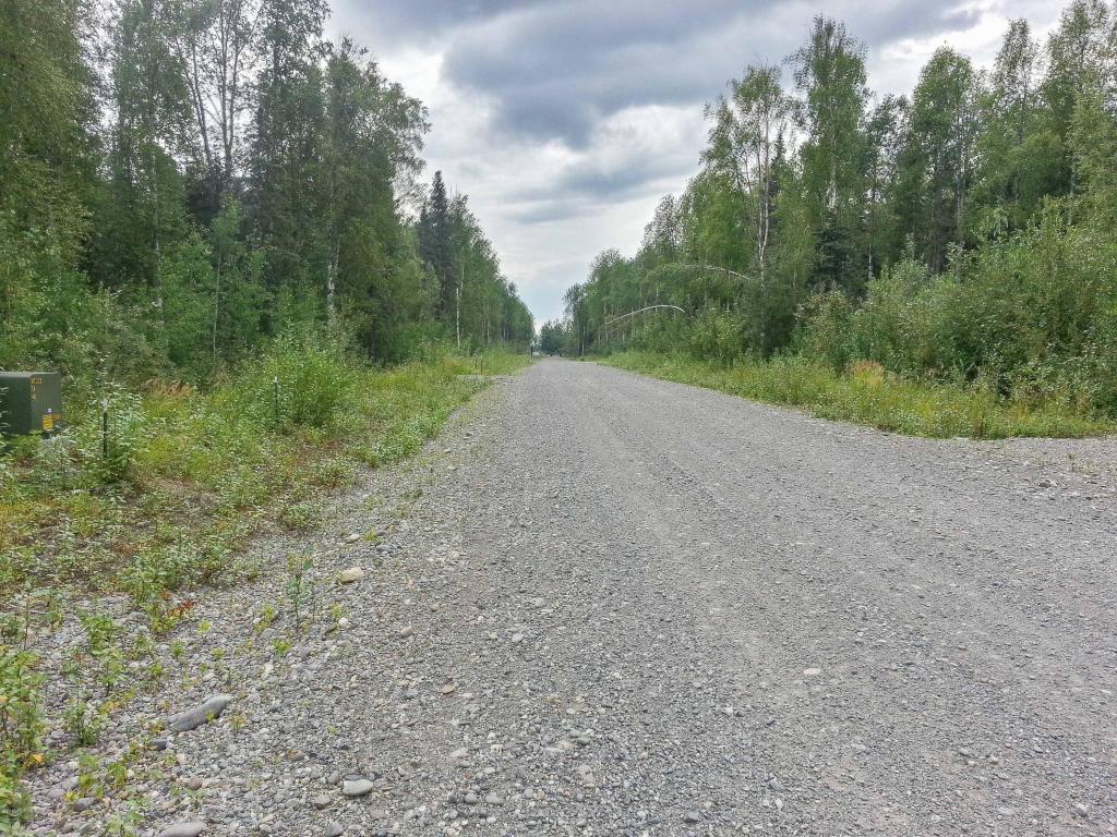 47345 S Hawk Lane, Willow, AK 99688