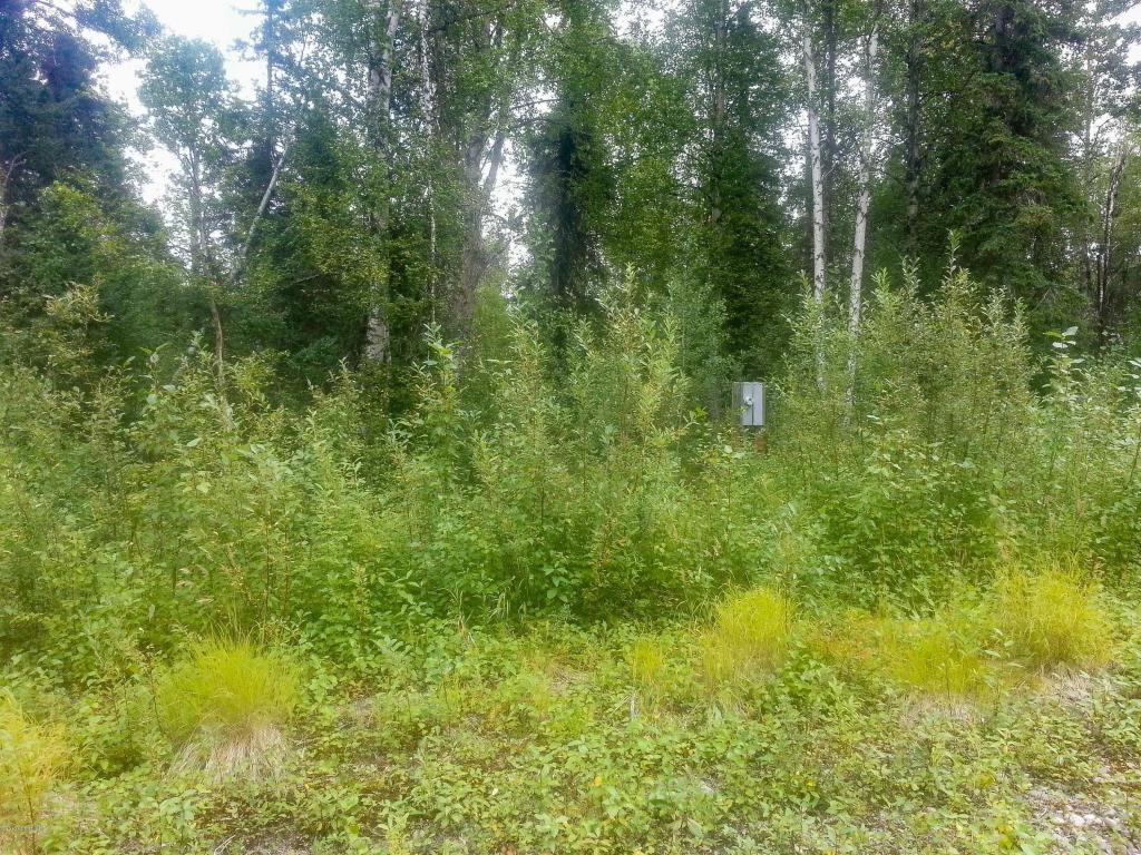 47345 S Hawk Lane, Willow, AK 99688