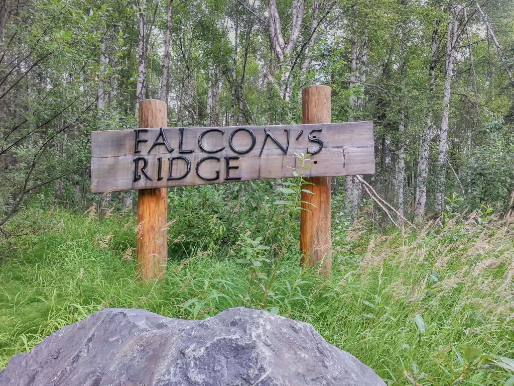 47345 S Hawk Lane, Willow, AK 99688