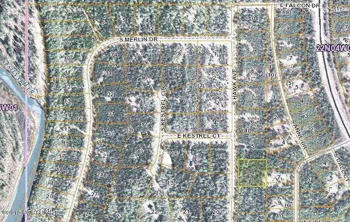47345 S Hawk Lane, Willow, AK 99688