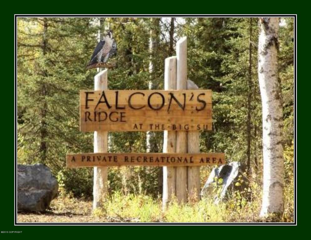 47345 S Hawk Lane, Willow, AK 99688