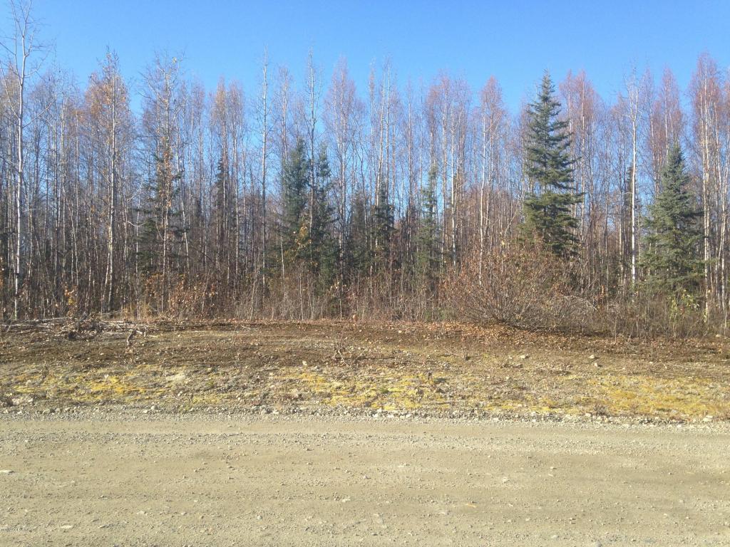13180 N Barrington Loop, Willow, AK 99688