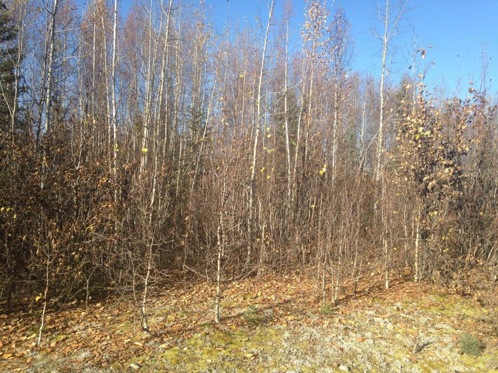 13180 N Barrington Loop, Willow, AK 99688