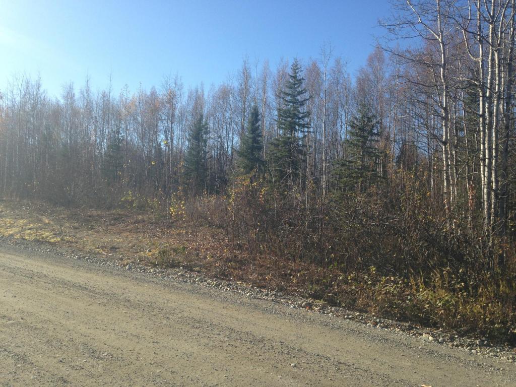 13180 N Barrington Loop, Willow, AK 99688